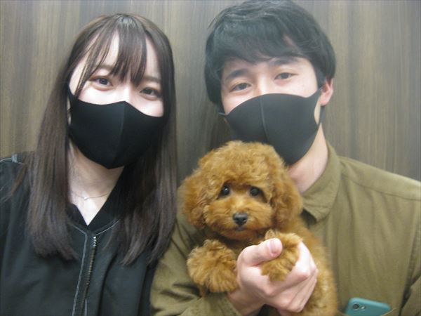 写真