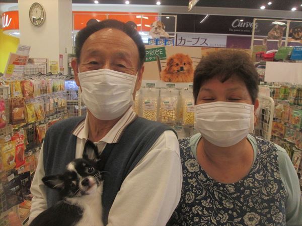 写真