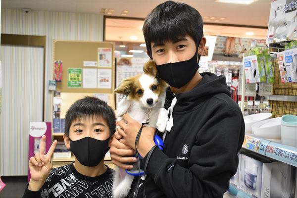 写真