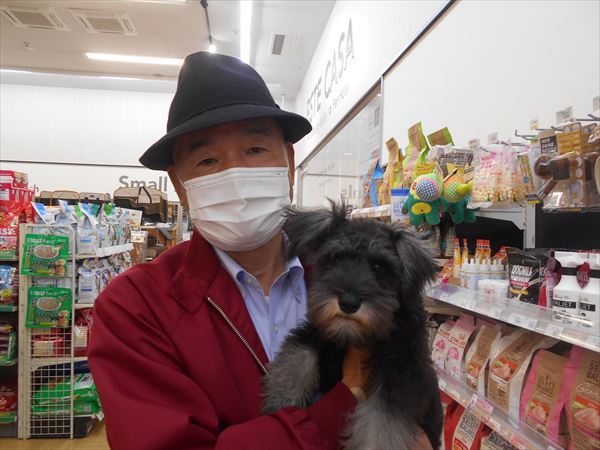 写真