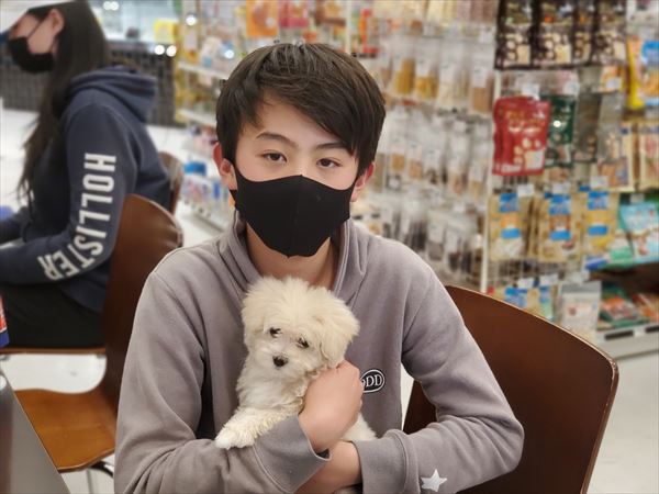 写真