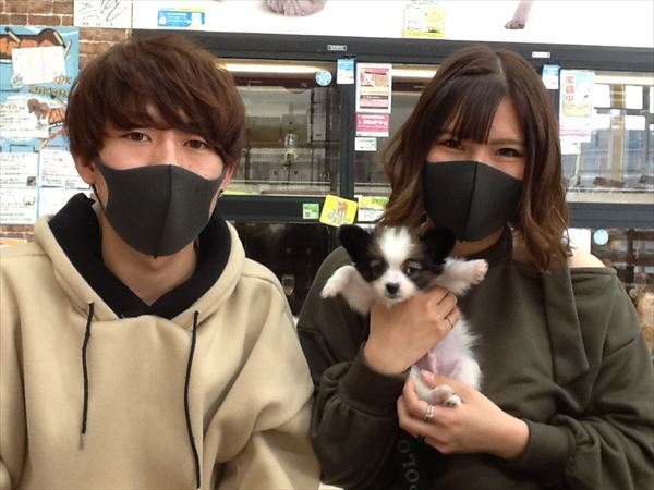 写真