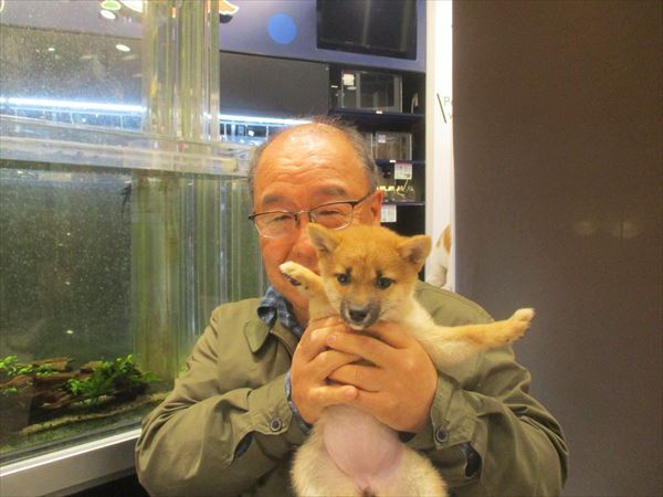 写真