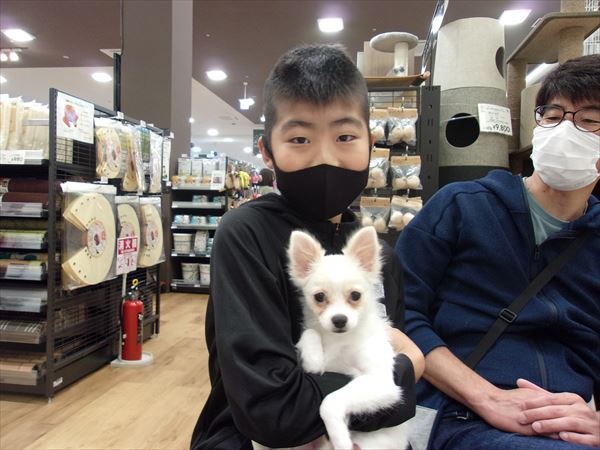 写真