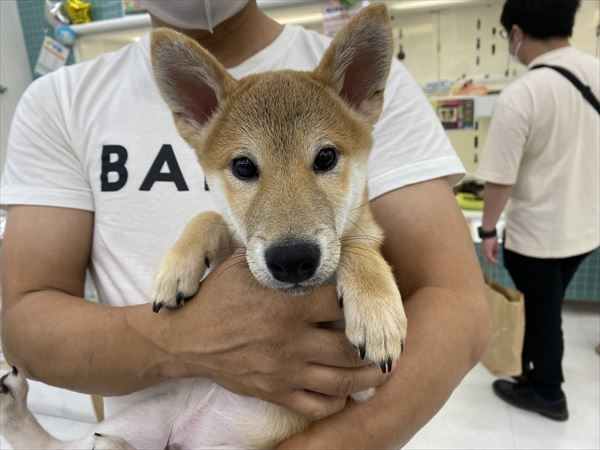 写真