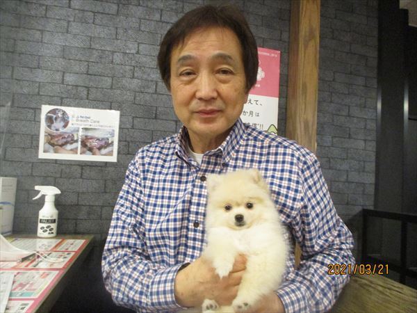 写真