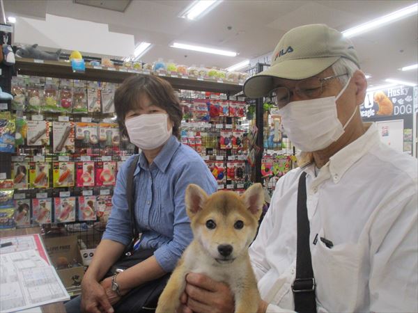 写真