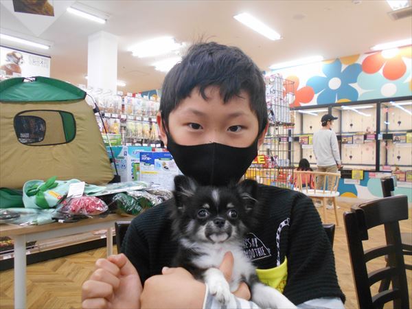 写真