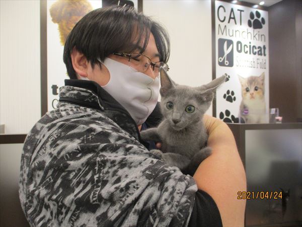 写真