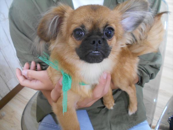 写真