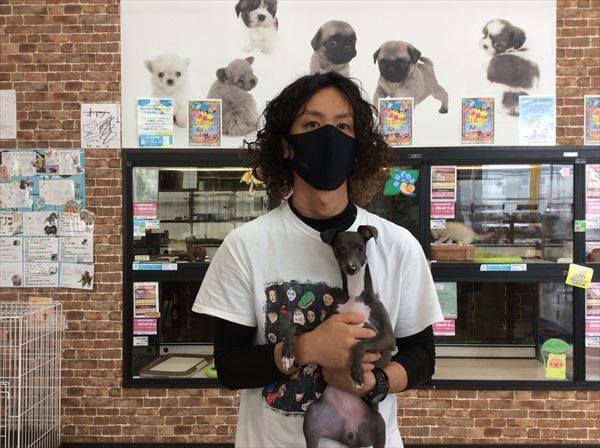 写真
