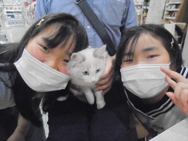 写真