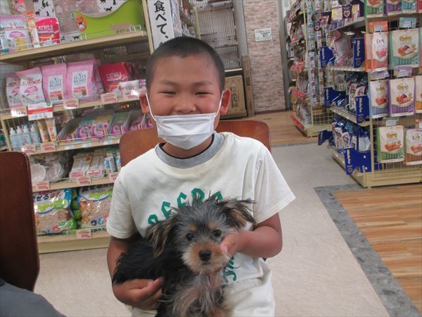 写真