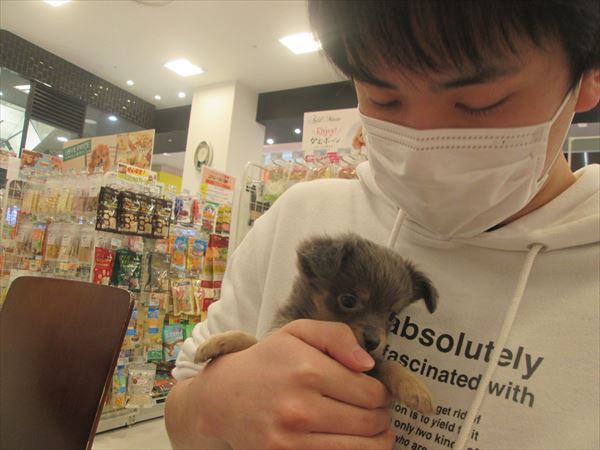 写真