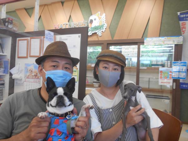 写真