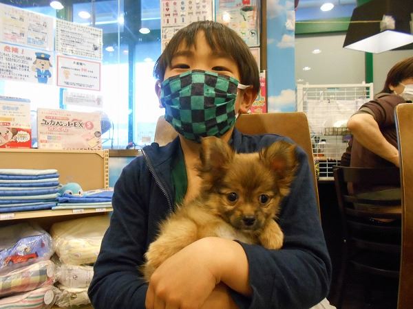 写真