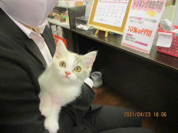 写真