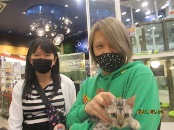 写真