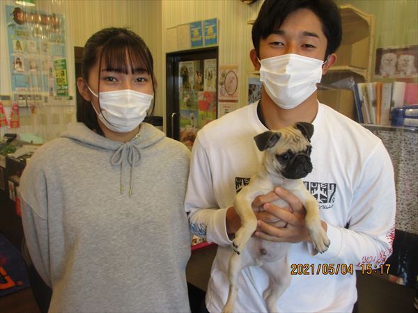 写真