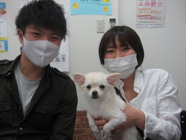 写真