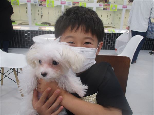 写真