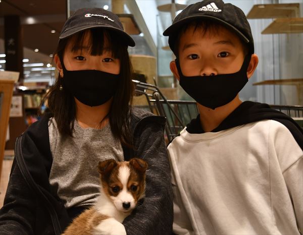 写真