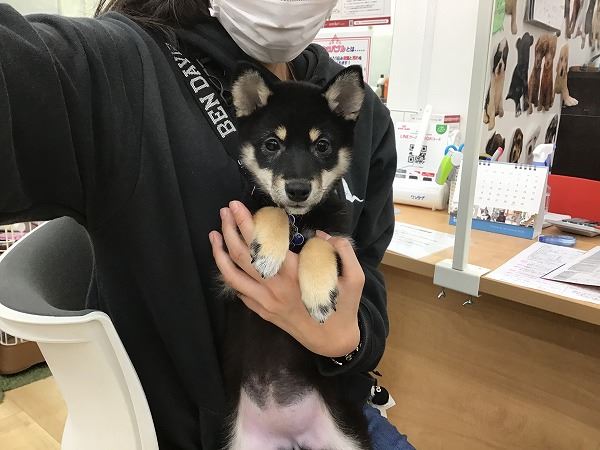 写真