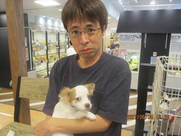 写真