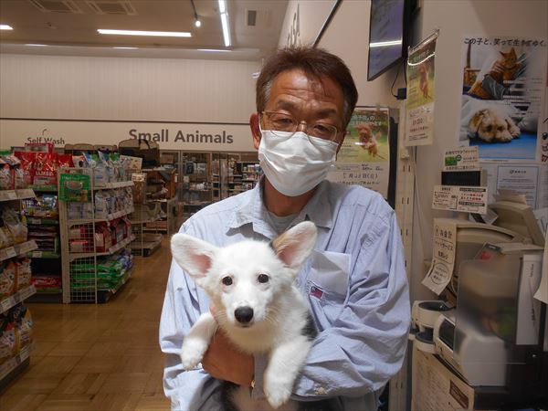 写真