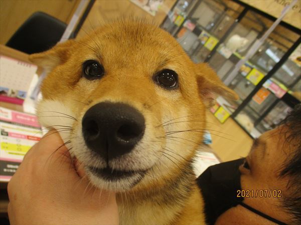 写真