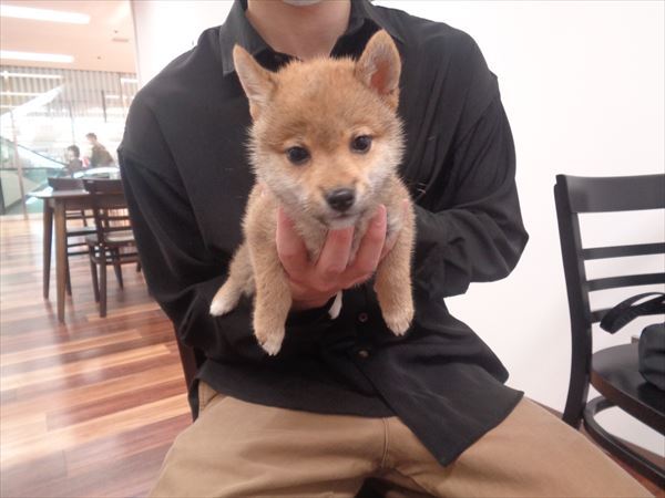 写真