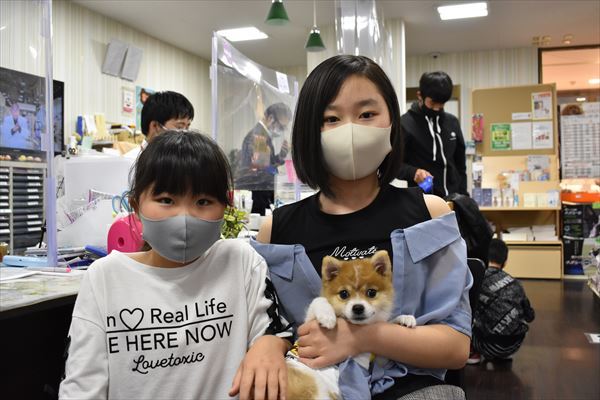 写真