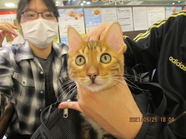 写真