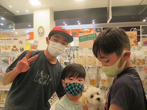 写真