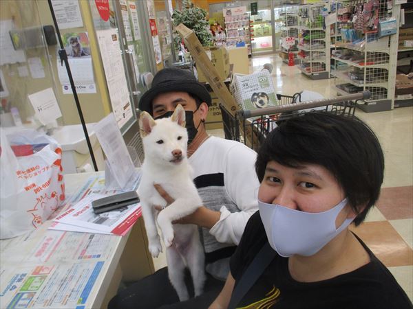 写真