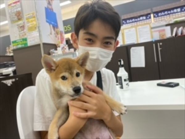 写真