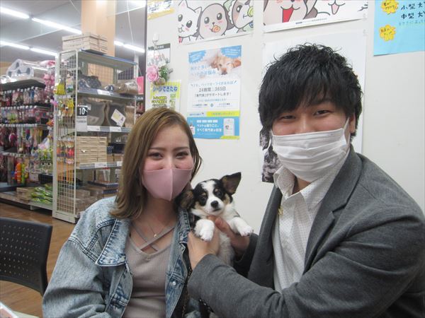 写真