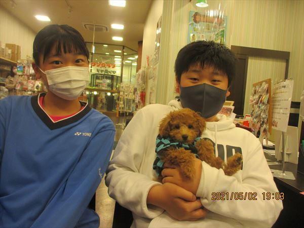 写真
