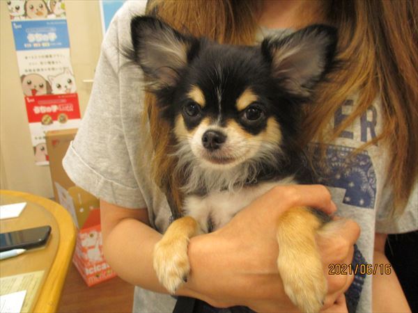 写真