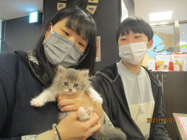 写真