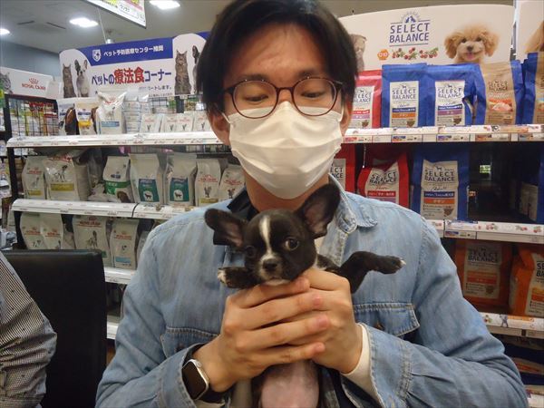 写真