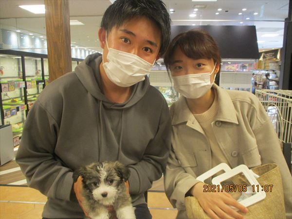 写真
