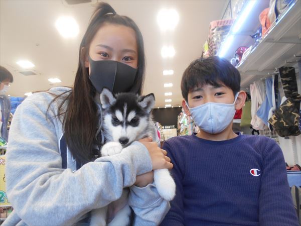 写真