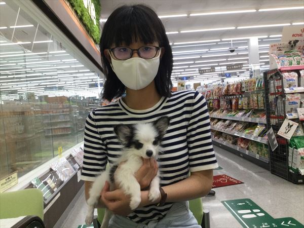 写真