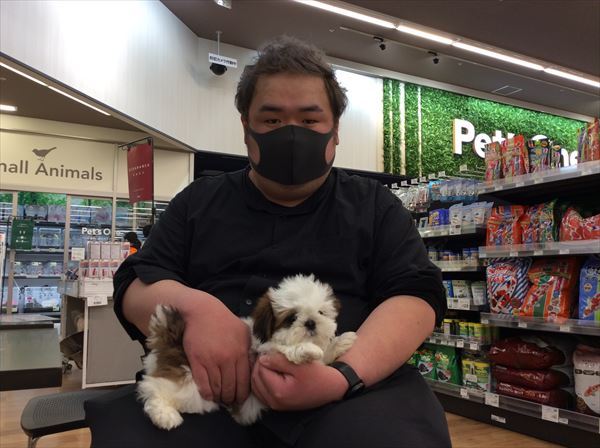 写真