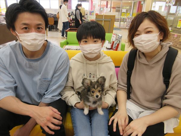 写真