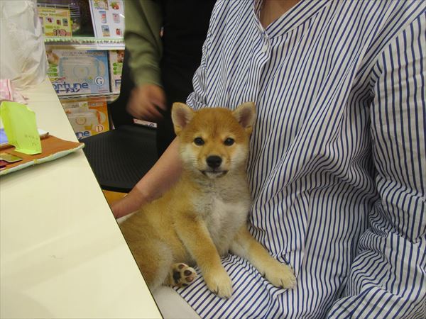 写真