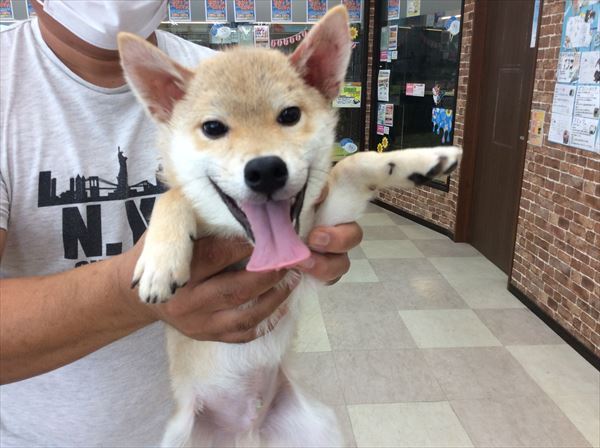 写真