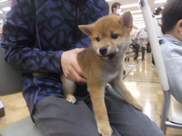 写真