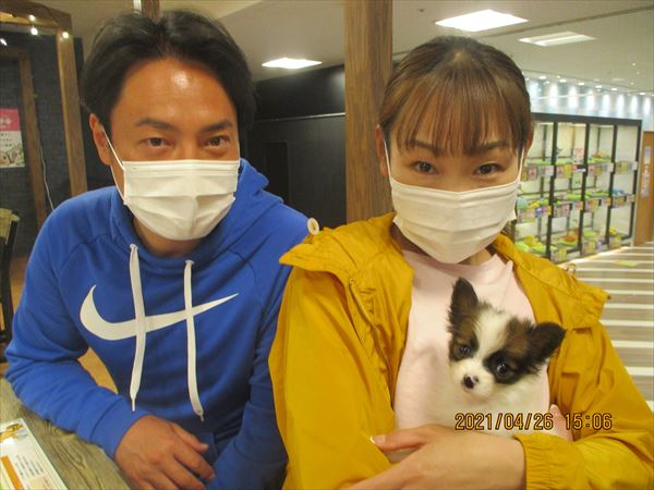 写真
